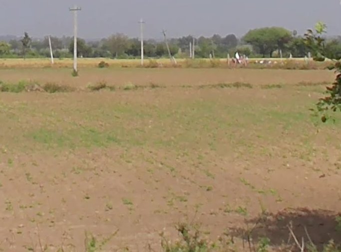 An image of land