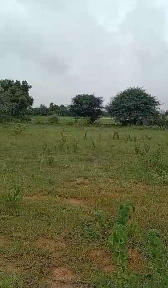 An image of land