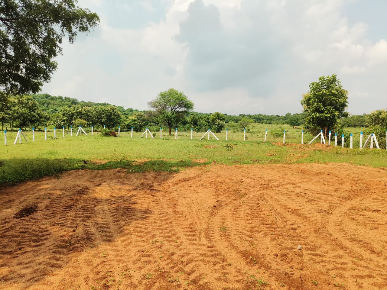 An image of land
