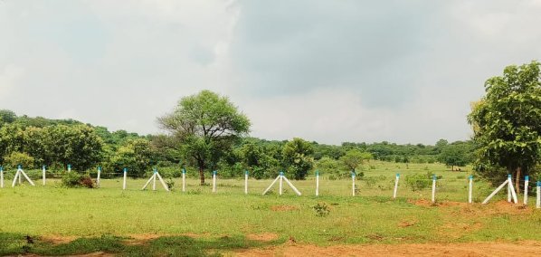 An image of land