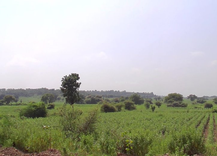 An image of land