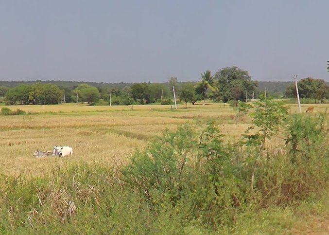 An image of land