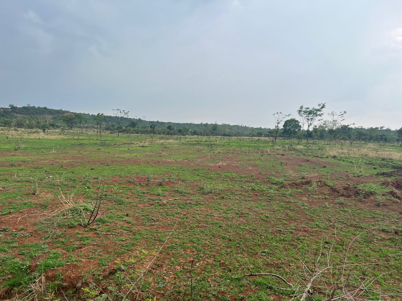 An image of land