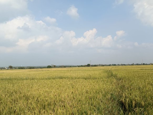An image of land