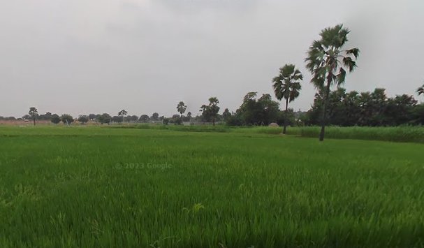 An image of land