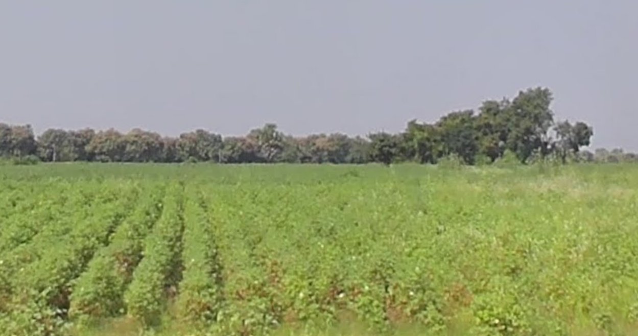 An image of land
