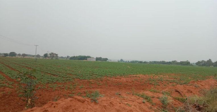 An image of land