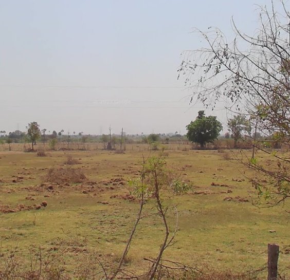 An image of land