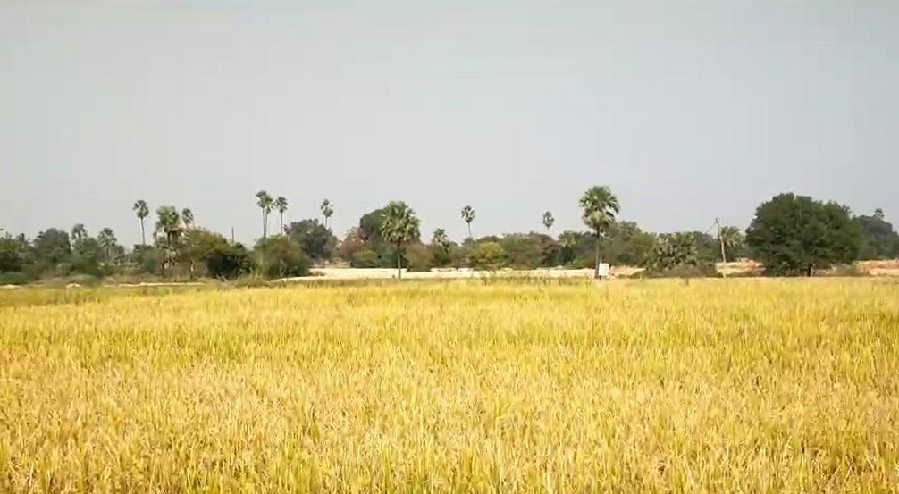 An image of land