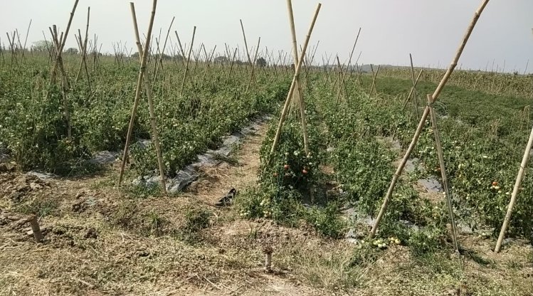 An image of land