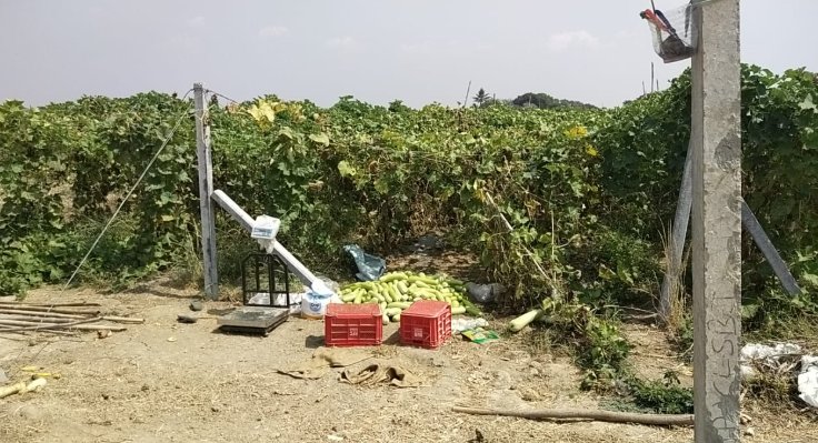 An image of land