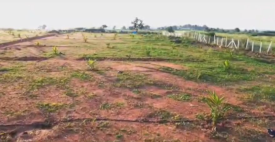 An image of land