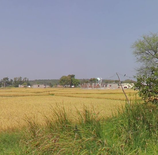 An image of land