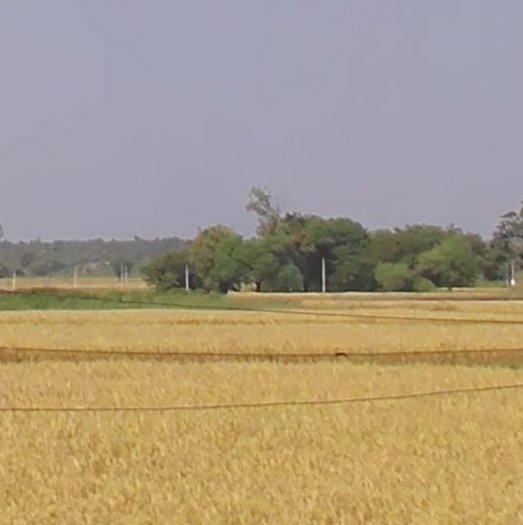An image of land