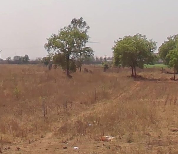 An image of land