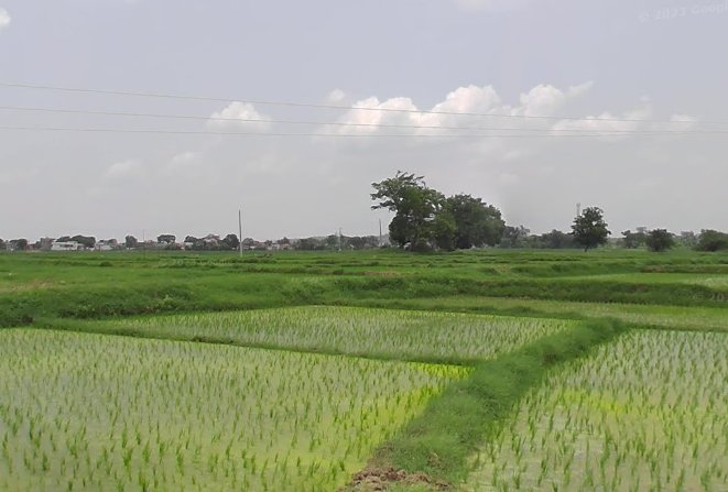 An image of land