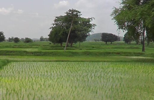 An image of land