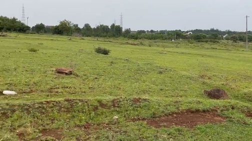 An image of land