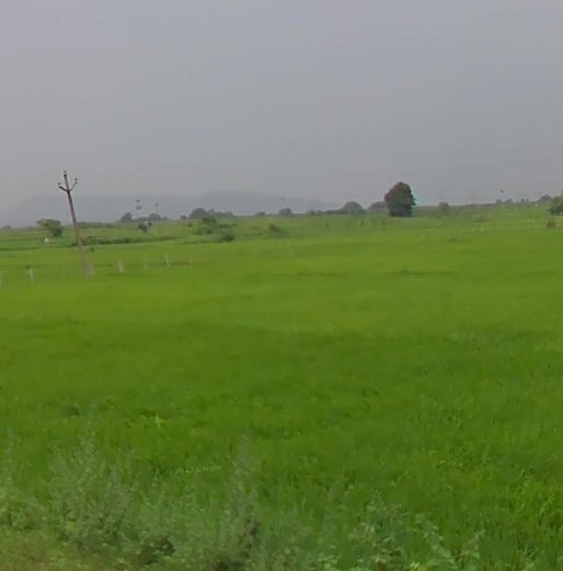 An image of land