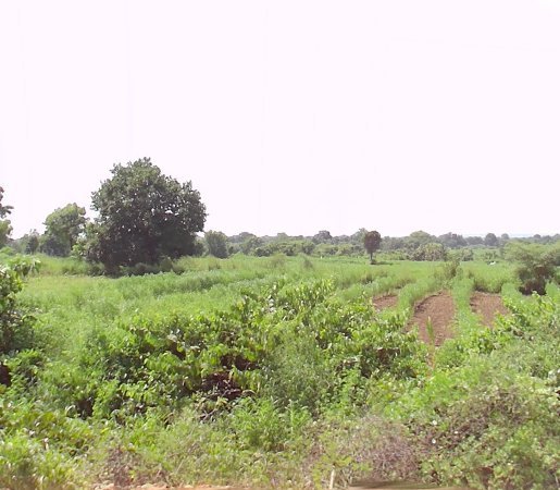 An image of land