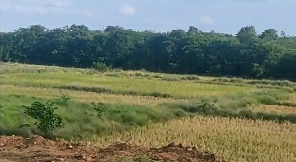 An image of land