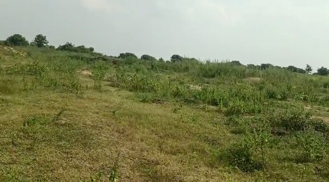 An image of land