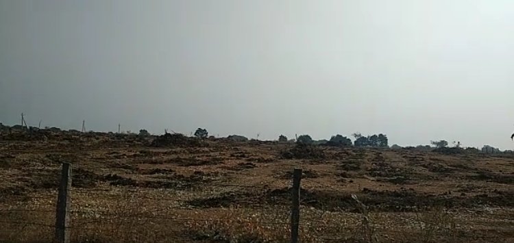 An image of land