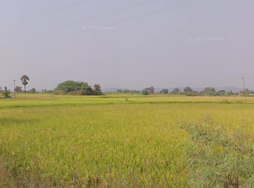 An image of land
