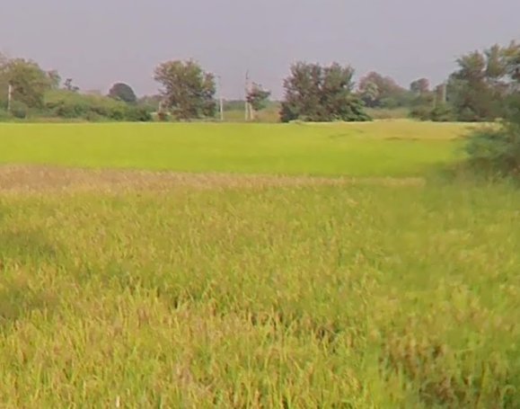 An image of land
