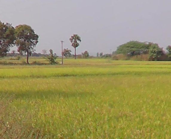 An image of land