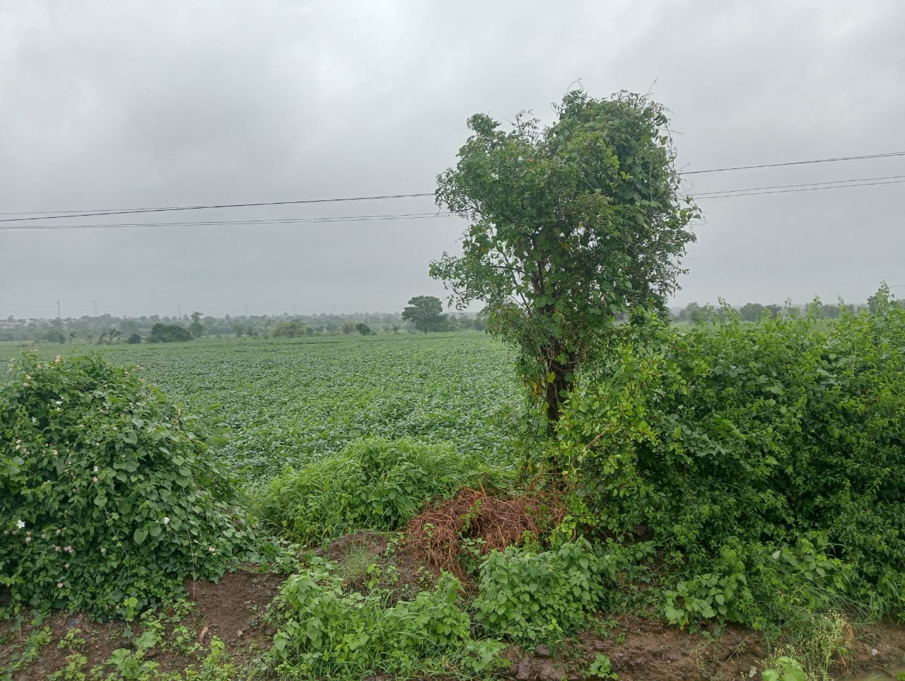 An image of land