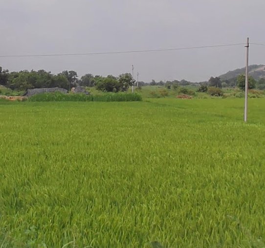 An image of land