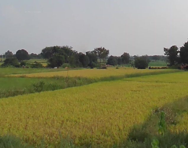 An image of land