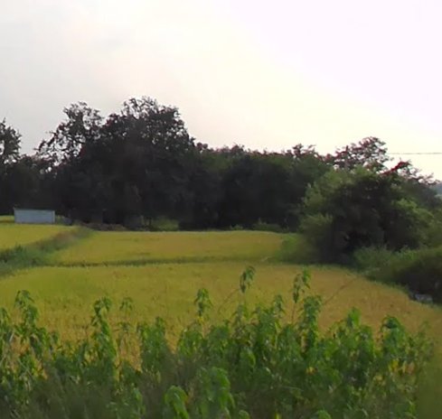 An image of land