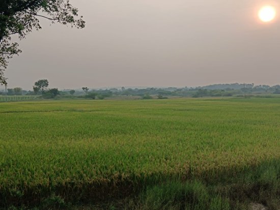 An image of land