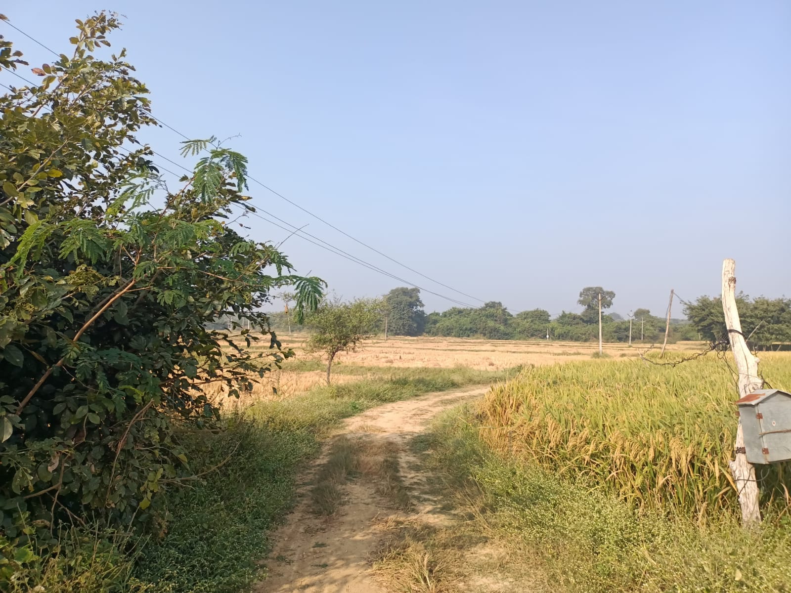 An image of land