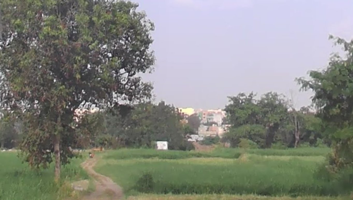 An image of land