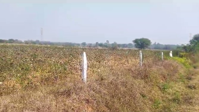 An image of land