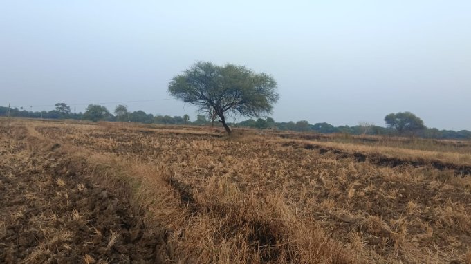 An image of land