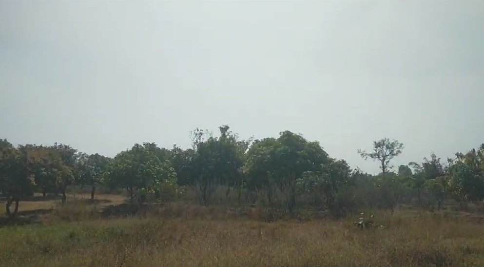 An image of land