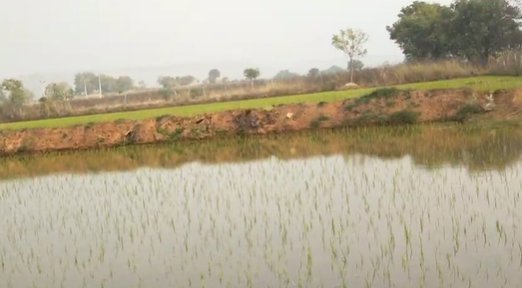 An image of land