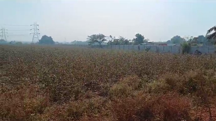 An image of land