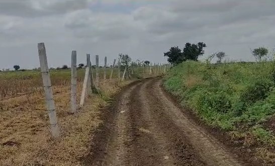 An image of land