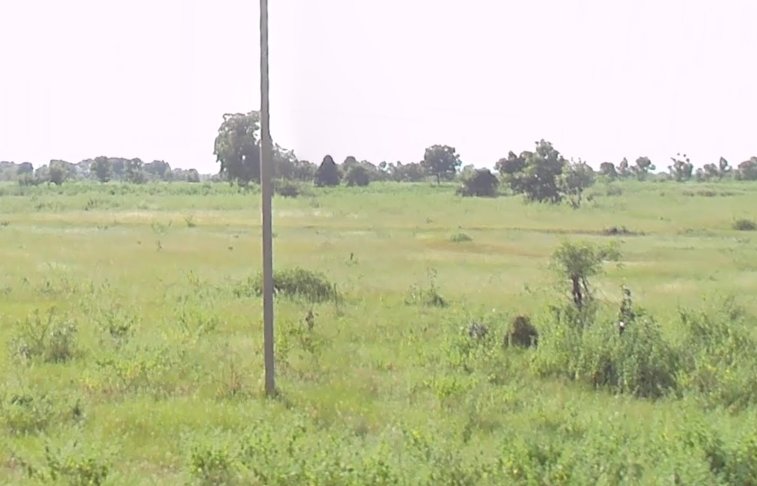 An image of land