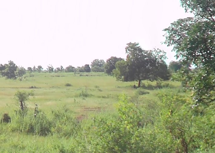 An image of land