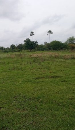 An image of land