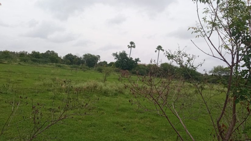 An image of land