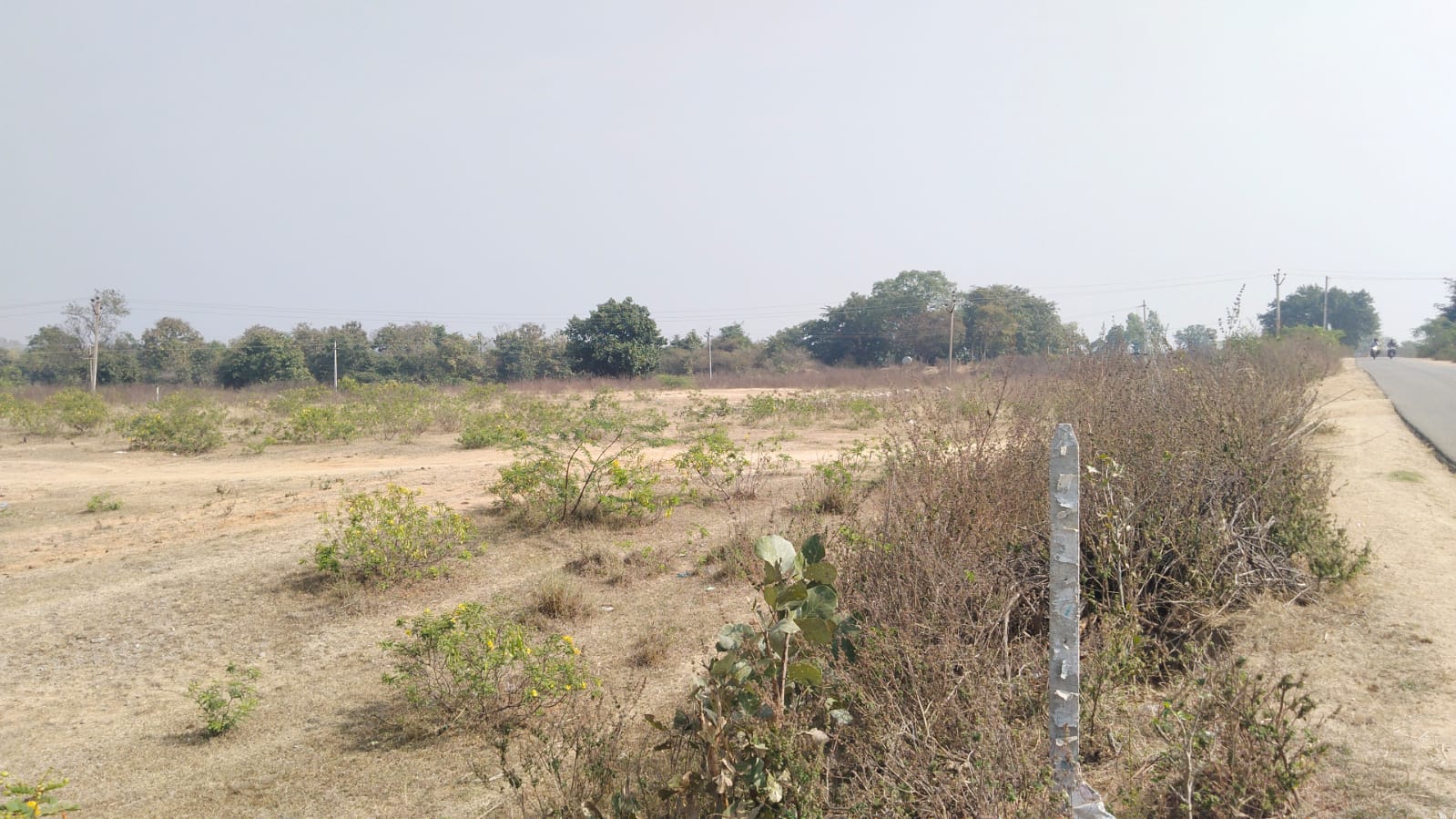 An image of land