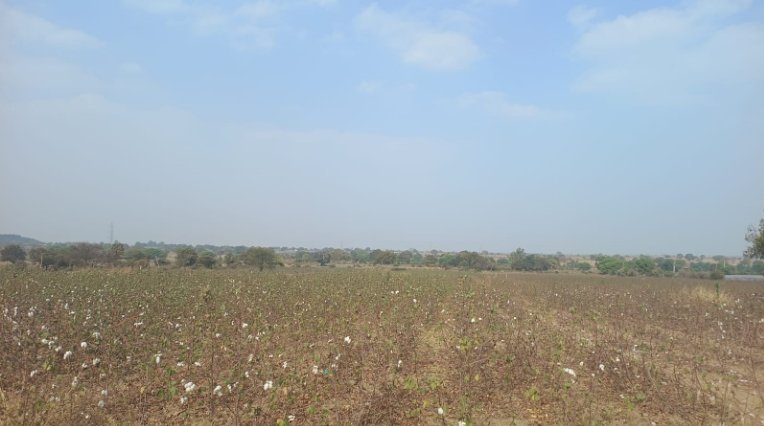An image of land