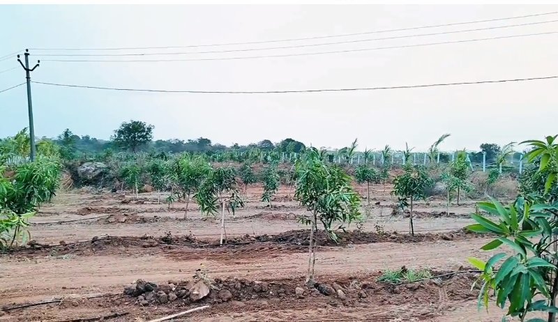 An image of land